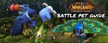 To complete this achievement, players must battle trainers with the elekk plushie on their team. Warlords Of Draenor Battle Pet Guide News Icy Veins