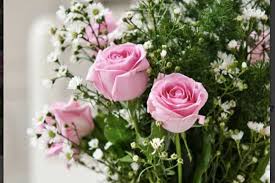 Sketsa gambar mewarnai sederhana bunga flower coloring pages rose flowers roses pink. Bunga Bunga Terbaik Selain Mawar Untuk Mengekspresikan Rasa Cinta Sumeks Co