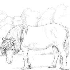 Your preschooler will enjoy adding color to this loving duo. Horse Shetland Pony Coloring Pages Printable