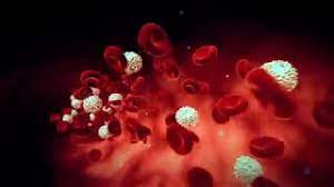 Certain substances present in the blood called the blood markers may be elevated in patients with liver cancer.raised levels of a tumor marker called alpha fetoprotein (afp) can indicate diseases of the liver, including liver cancer. Complete Blood Count Cbc Understand The Test Your Results