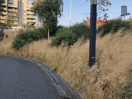 pin op beplanting