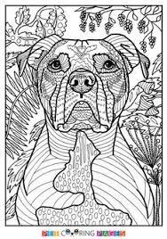 Dog Coloring Pages For Adults Dog Coloring Book Dog Coloring Page Animal Coloring Pages