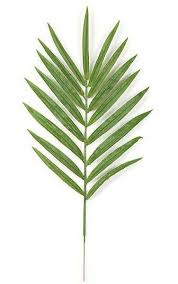 42 Kentia Palm Branch 17 Green Leaves 7 Metal Stem Palm Branch Kentia Palm Plants