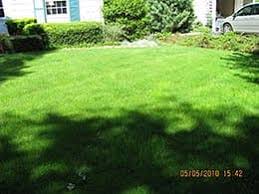 Market share of professional lawn care companies. Summit Organic Lawn Care Service Greener Lawns