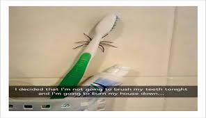 10 Cringe Worthy Yet Hilarious Spider Memes Funny Spider Memes Best Funny Pictures Spiders Funny