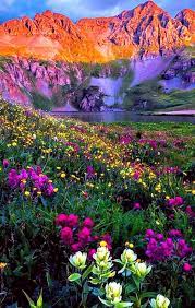 Pin By Thomas Ferber On Orchids Flowers Plants Tree S Beautiful Nature Landscape Pictures Nature Pictures Beautiful scenery beautiful flowers beautiful flowers scenery scenery flowers high definition picture blue sky clouds petals sky sun white clouds water green leaves landscapes landscape grass high definition pictures fresh flowers light rocks mountains beautiful natural scenery flower. beautiful nature