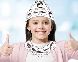 Salamander Life Cycle Activities