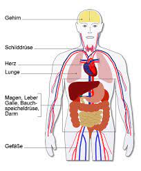 Häufigkeit von schadensfällen in der inneren medizin. Innere Diagnostik