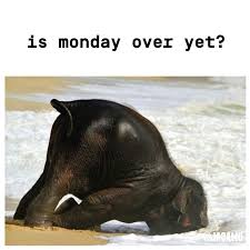 Check spelling or type a new query. Jacamo Auf Twitter Current Mood Monday Mondaymotivation Meme Credit Memes