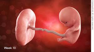 Week 10 For Parents Nemours Kidshealth