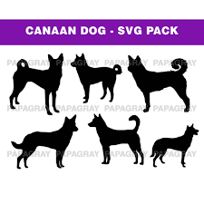 Brown Watercolor Dog unbeatable Letter