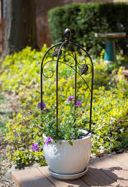 2.5 out of 5 stars 3. Small Obelisk Trellis For Pots