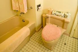 Image result for Pink 1964 Amana