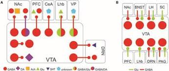 Virtacoin vta is a cryptocurrency with its own blockchain. Frontiers Vta Gaba Neurons At The Interface Of Stress And Reward Frontiers In Neural Circuits