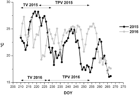 Companies the companies act, 2002. Low Night Temperature At Veraison Enhances The Accumulation Of Anthocyanins In Corvina Grapes Vitis Vinifera L Scientific Reports