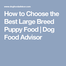 How To Choose The Best Large Breed Puppy Food Dog Food Advisor Large Breed Puppy Food Dog Food Advisor Dog Food Recipes