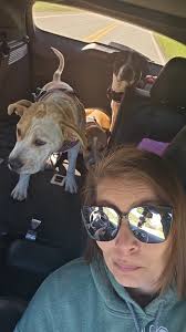 Char'Lee.... I didn't know we were keeping her🤣 Dorothy Mae.... move  over😉💕