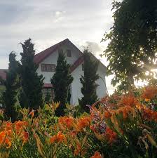 Book taw win garden hotel, yangon region on tripadvisor: The Tree House Garden Home Facebook