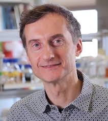 NewsSplash Issue 8 Winter 2020