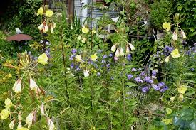 Finde aktuelle garten angebote aus bochum und umgebung, sowie viele weitere geschäfte, in denen du garten kaufen kannst. Einen Naturgarten Anlegen Nabu Bochum