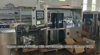 Automatic Visual Inspection Machine for Various Sizes Bottle Caps Appearance Defect Stain Damage Dimension 2000pcs/min Factory