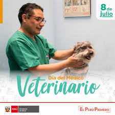 Maybe you would like to learn more about one of these? Ministerio De Salud A Twitter Hoy Saludamos A Todos Los Veterinarios Del Peru En Su Dia Y Aprovechamos Para Destacar La Labor Y Dedicacion De Estos Profesionales Con Respecto Al Cuidado