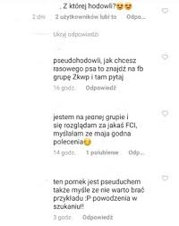 Check spelling or type a new query. Wersow I Friz Pokazali Nowego Pieska Fani Alarmuja Ze Pochodzi Z Pseudohodowli 4fun Tv