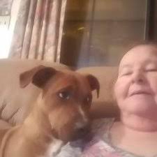 Leslie Goodhue (@leslie3c)