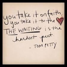 Tom Petty on Pinterest | Stevie Nicks, Lindsey Buckingham and Neil ... via Relatably.com
