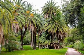 Etwa 10.000 pflanzenarten wachsen auf dem gelände am rande des großen gartens. Abseits Des Trubels Ein Besuch Im Botanischen Garten In Rom Reiseblog Aus Brandenburg Herz An Hirn