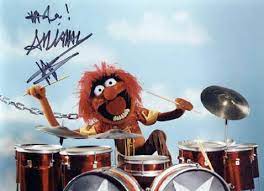 Target.com has been visited by 1m+ users in the past month Animal Ronnie Verrell Drummerworld
