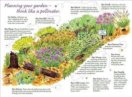 Think Like A Bee Pollinator Garden Pollinator Garden Design Bee Friendly Garden