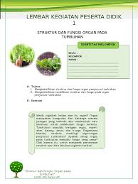 Soal ulangan kenaikan kelas 8 smpdeskripsi lengkap. Lkpd 1