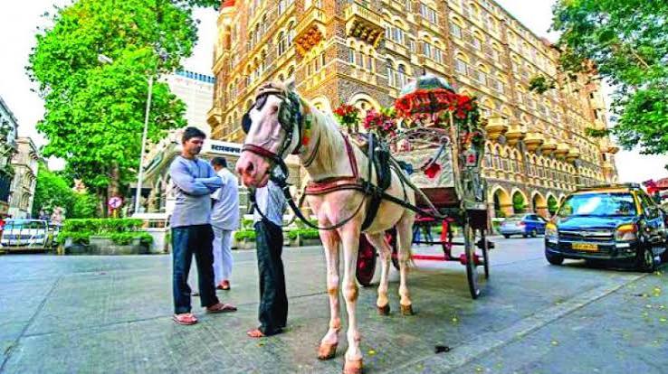 Read all Latest Updates on and about Victoria carriages