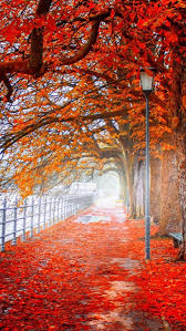 Landscape 4k Ultra Hd Wallpaper Autmn Landscape 4k Ultra Hd Wallpaper 4k Wa Fotos Ambiente Paisagens