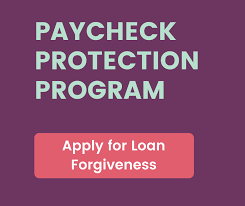 Before moving forward, if you have any doubts as to how the rules apply or what option might be right for you, we encourage you to speak with a financial advisor or tax professional. Paycheck Protection Program Loan Forgiveness Members Exchange