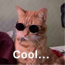 Search, discover and share your favorite gify gifs. Cat With Sun Glasses Gifs Tenor