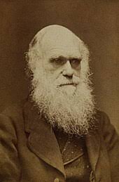 The Descent of Man, and Selection in Relation to Sex