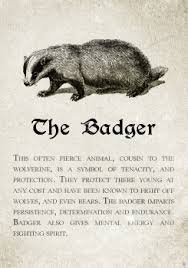 Hufflepuff The Badger Pottermore Sorting Sorting Hat Analysis And Meta Harry Potter Love Hufflepuff Harry Potter