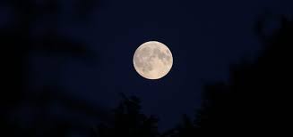 See what luna_rosada (luna_rosada) found on we heart it, your everyday app to get lost in what you love. Conozca A Que Hora Podra Observar La Super Luna Rosa En Chile