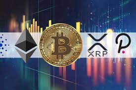 Market Crash Investors Start Buying Cardano Xrp And Polkadot