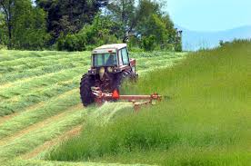 State farm insurance agent view licenses. Insurance Services Home Auto Business More Whitehead Insurance