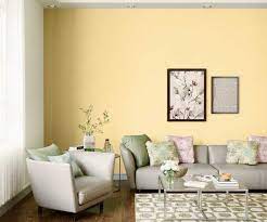 Yellow Scoop 7945 House Wall Painting