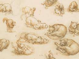 Leonardo da vinci drawings hold many mysteries, even 500 years after they were first sketched. Queen S Leonardo Da Vinci Drawings To Be Shown Across Uk Cities Leonardo Da Vinci The Guardian