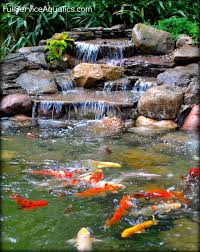 Waterfall With Koi Swimming Beneath It Designed And Installed By Full Service Aquatics Of Summit Nj 07901 Wasserfall Garten Wasserfall Japanischer Garten