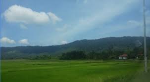 Pelancong yang datang ke langkawi yang ingin kemudahan selesa selain hotel boleh menginap di langkawi homestay ini dengan selesa bagi keluarga yang ramai. Homestay Murah Langkawi Yang Selesa Seperti Hotel 5 Star Cari Homestay