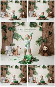 Wild One Cake Smash In 2020 Baby Boy 1st Birthday Party Boys 1st Birthday Cake 1st Boy Birthday