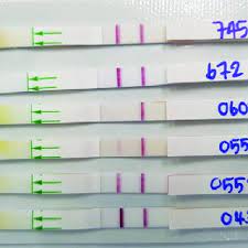 Pregnancy Test Weakly Positive Urine Pregnancy Test