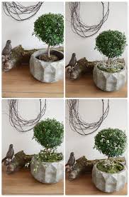 Das ist besonders dann sinnvoll, wenn man sich die blütenpracht ins haus holen und als dekoration verwenden will. So Dekoriert Ihr Pflanzen In Ubertopfen Ganz Naturlich Und Einfach Mrs Greenery