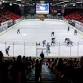 Brandon Wheat Kings vs. Red Deer Rebels event image